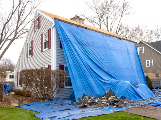 Best Fascia and Soffit Installation  in Janesville, MN